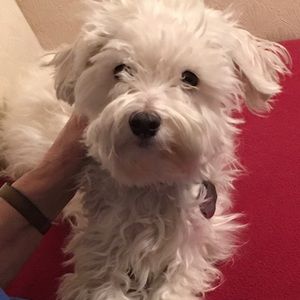 Meet your Posher, Jeanette